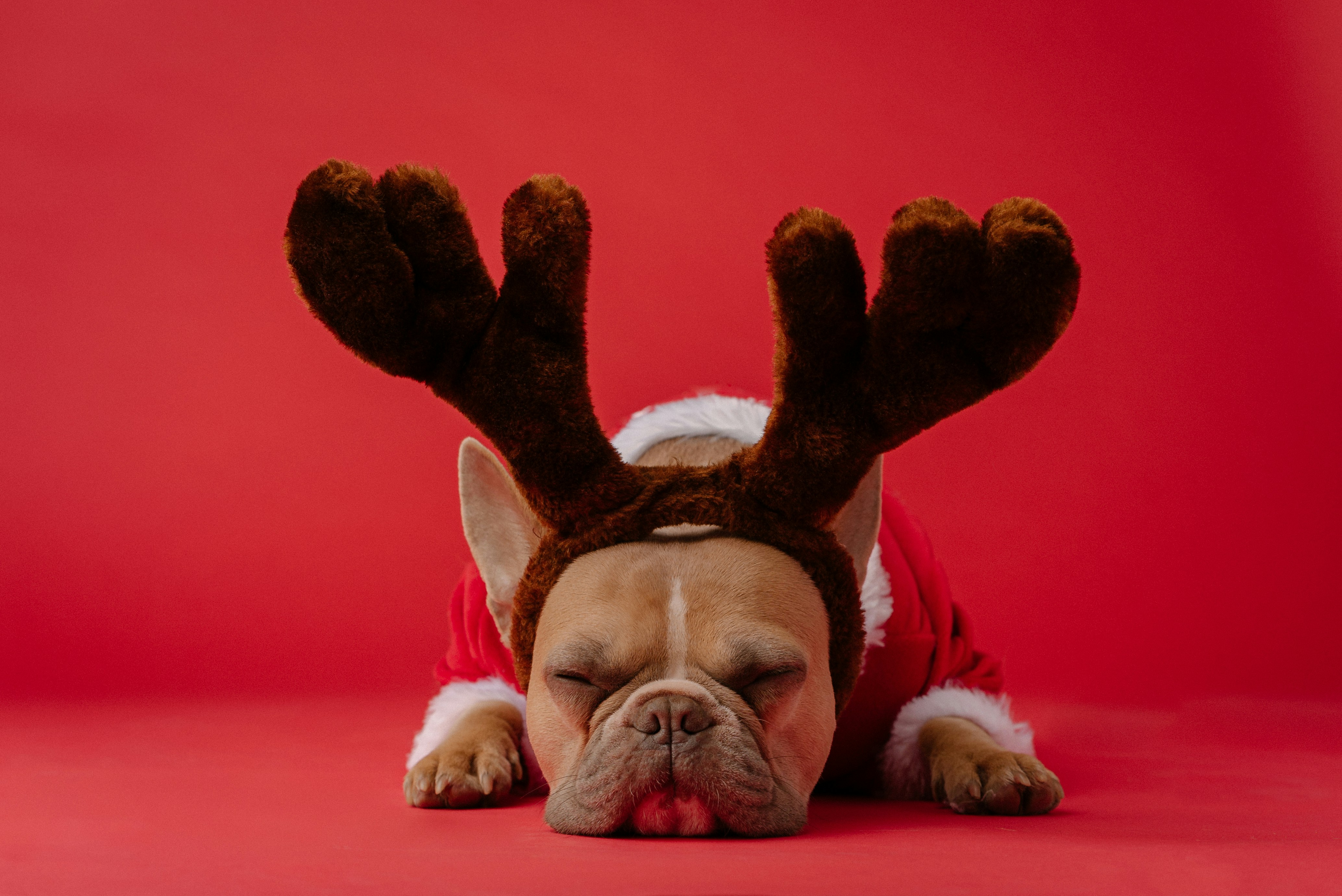 How to Manage Stressful Family Holidays